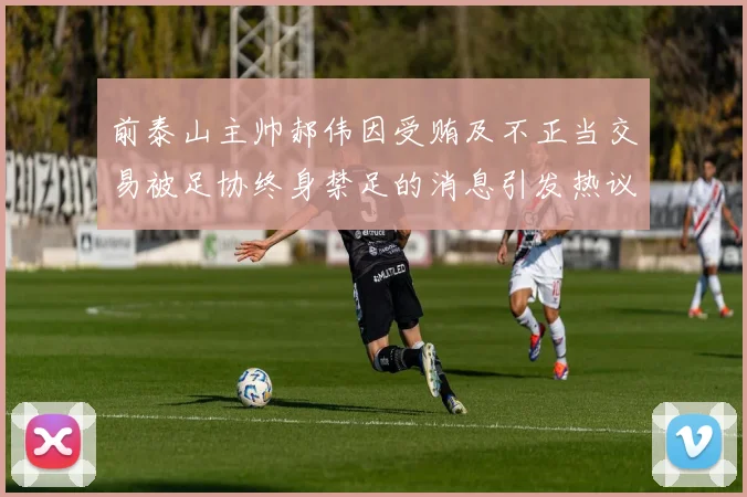 前泰山主帅郝伟因受贿及不正当交易被足协终身禁足的消息引发热议