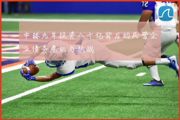 中赫九年投资八十亿背后的民营企业债务危机与挑战